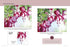 Oil & Acrylic: Flowers: Learn to paint step by step (How to Draw & Paint)